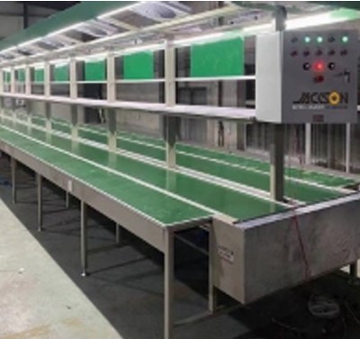 Packing Conveyor Line